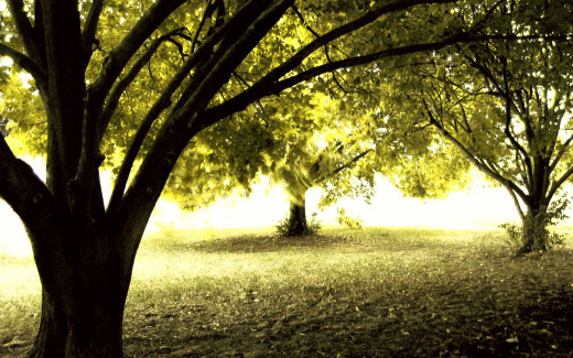451786 (a): :1920x1200